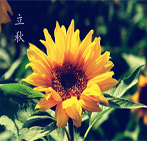 ϵĶʮĹ֮ƪ