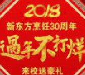 |2018´꣡