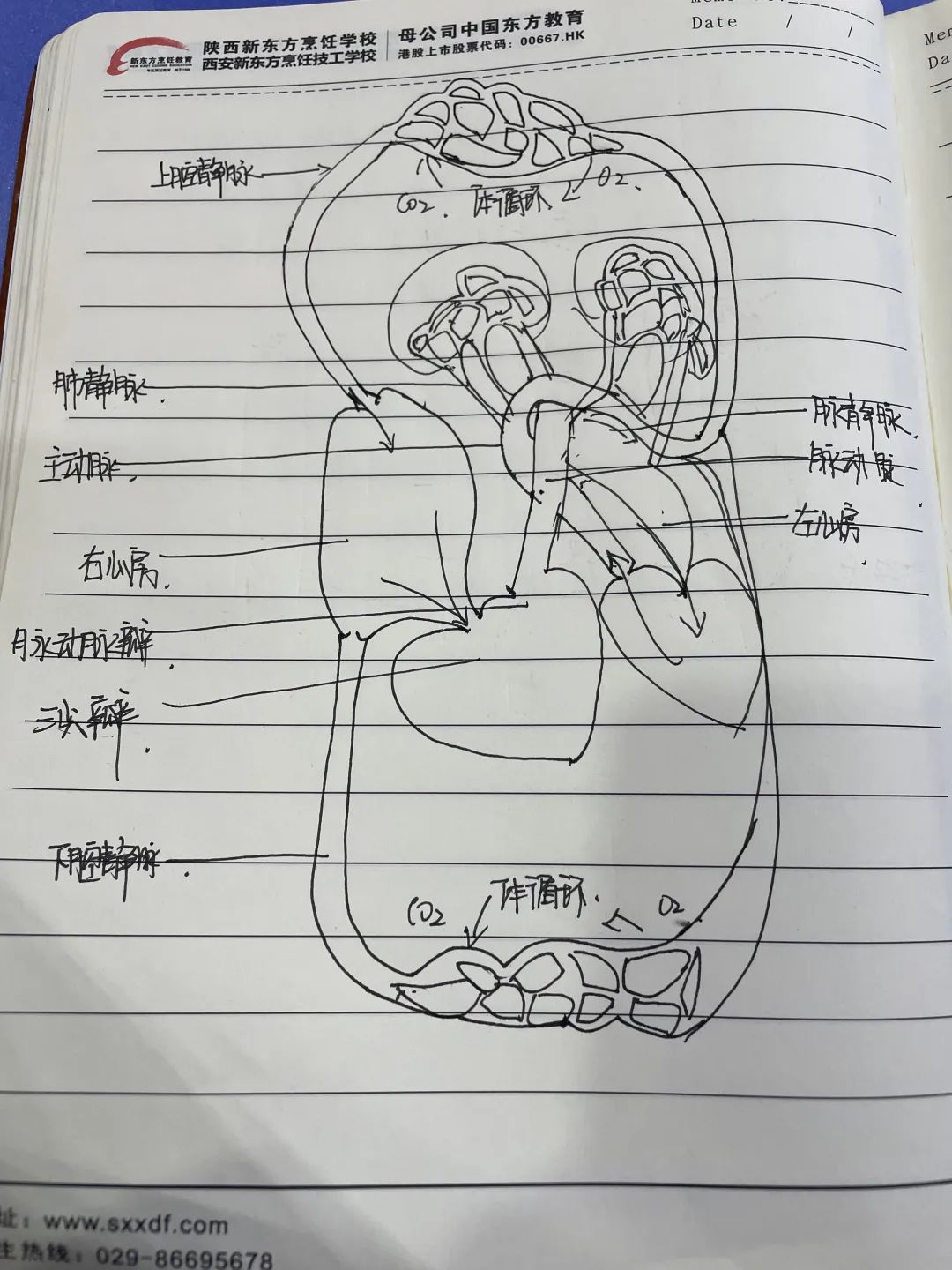 䡰Pӛl(f)nùPӛuxӽY(ji)ҕ