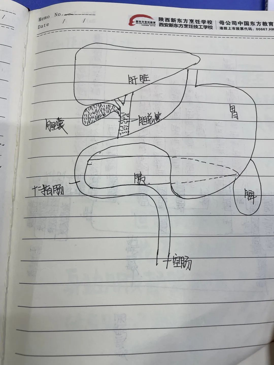 䡰Pӛl(f)nùPӛuxӽY(ji)ҕ