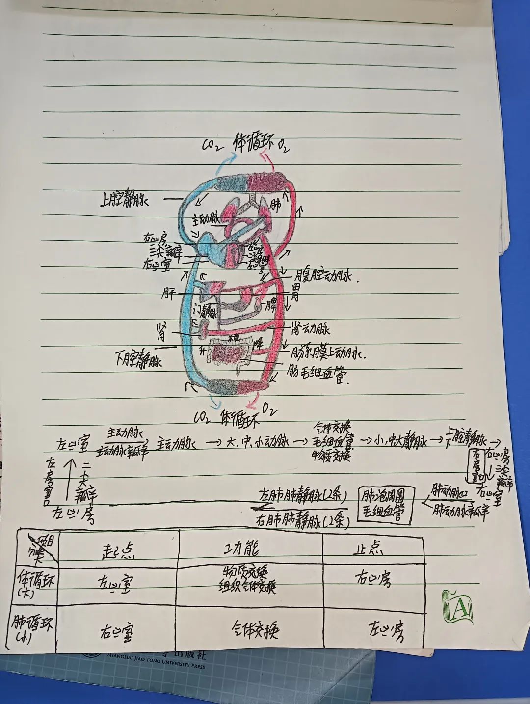 䡰Pӛl(f)nùPӛuxӽY(ji)ҕ