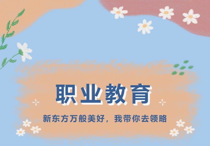 Ԟ|VSHϵ|